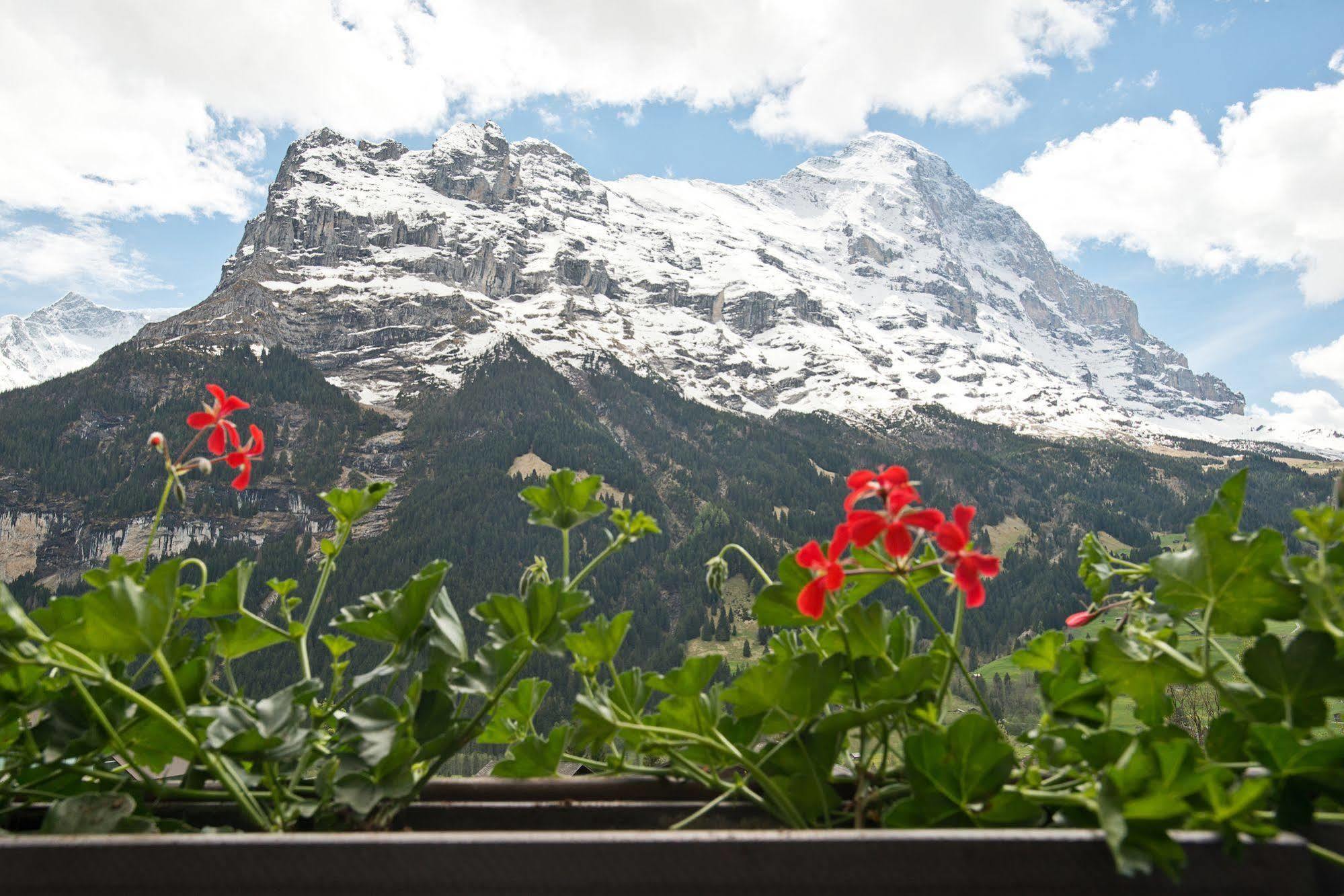 Hotel Bernerhof Grindelwald Exterior photo